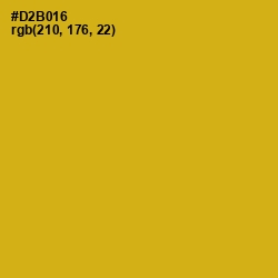 #D2B016 - Gold Tips Color Image