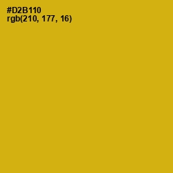#D2B110 - Gold Tips Color Image