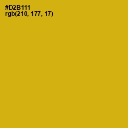 #D2B111 - Gold Tips Color Image