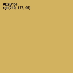 #D2B15F - Sundance Color Image