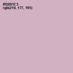 #D2B1C3 - Lilac Color Image