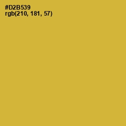 #D2B539 - Old Gold Color Image