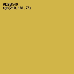 #D2B549 - Turmeric Color Image