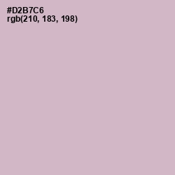 #D2B7C6 - Pale Slate Color Image