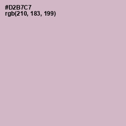 #D2B7C7 - Pale Slate Color Image