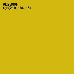 #D2B80F - Galliano Color Image