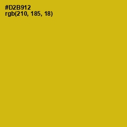 #D2B912 - Gold Tips Color Image