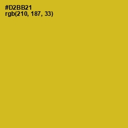 #D2BB21 - Golden Grass Color Image