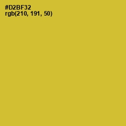 #D2BF32 - Old Gold Color Image