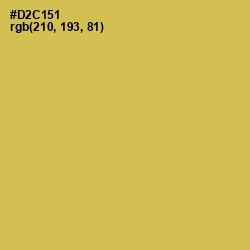 #D2C151 - Wattle Color Image