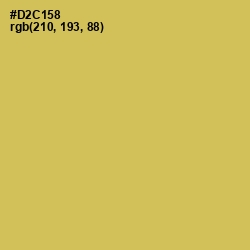 #D2C158 - Wattle Color Image