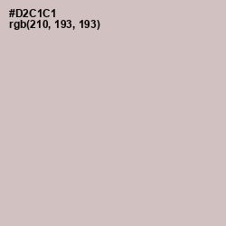 #D2C1C1 - Swirl Color Image