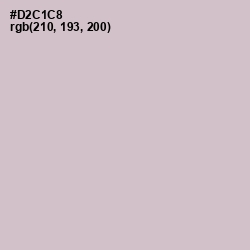 #D2C1C8 - Swirl Color Image