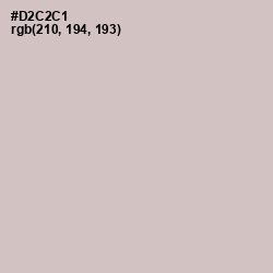 #D2C2C1 - Swirl Color Image