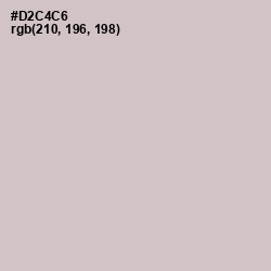 #D2C4C6 - Swirl Color Image