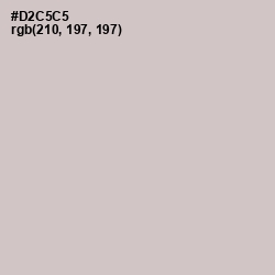 #D2C5C5 - Swirl Color Image