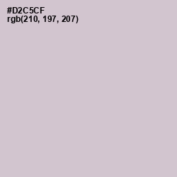 #D2C5CF - Swirl Color Image