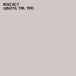 #D2C6C7 - Swirl Color Image