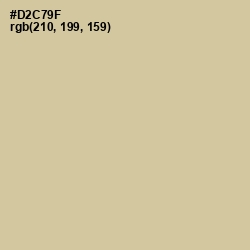 #D2C79F - Pavlova Color Image