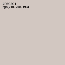 #D2C8C1 - Swirl Color Image