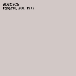 #D2C8C5 - Swirl Color Image