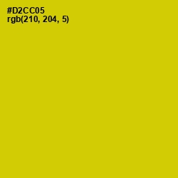 #D2CC05 - Bird Flower Color Image
