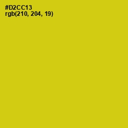 #D2CC13 - Bird Flower Color Image