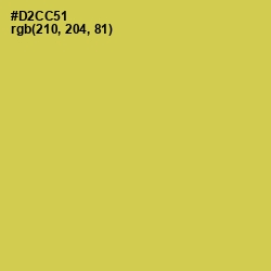 #D2CC51 - Wattle Color Image