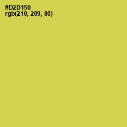 #D2D150 - Wattle Color Image