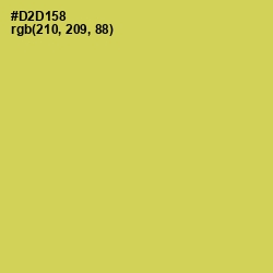 #D2D158 - Wattle Color Image