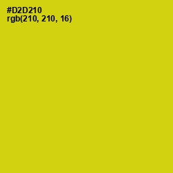 #D2D210 - Barberry Color Image