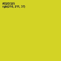 #D2D325 - Bird Flower Color Image