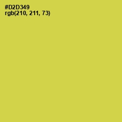 #D2D349 - Wattle Color Image