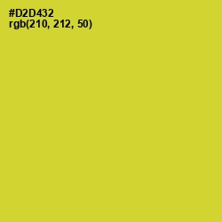 #D2D432 - Pear Color Image