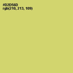 #D2D56D - Chenin Color Image