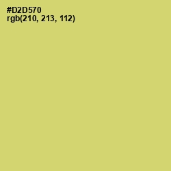 #D2D570 - Chenin Color Image