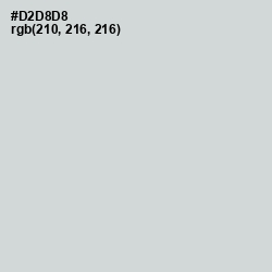 #D2D8D8 - Iron Color Image