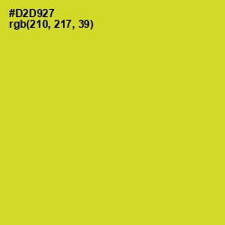 #D2D927 - Pear Color Image