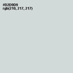 #D2D9D9 - Iron Color Image