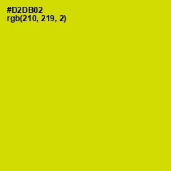 #D2DB02 - Bird Flower Color Image