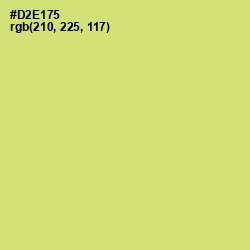 #D2E175 - Yellow Green Color Image