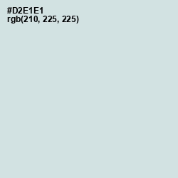 #D2E1E1 - Jagged Ice Color Image