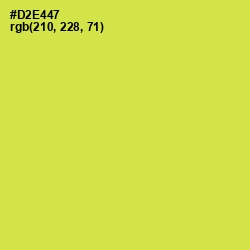 #D2E447 - Wattle Color Image