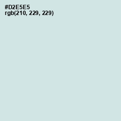#D2E5E5 - Swans Down Color Image