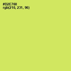#D2E760 - Yellow Green Color Image