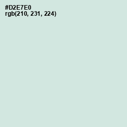 #D2E7E0 - Granny Apple Color Image