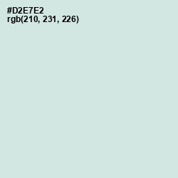 #D2E7E2 - Granny Apple Color Image