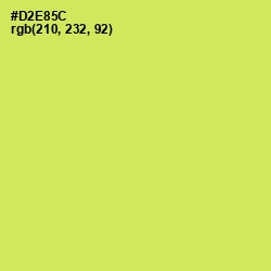 #D2E85C - Confetti Color Image
