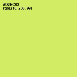 #D2EC63 - Yellow Green Color Image