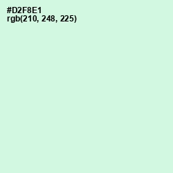 #D2F8E1 - Granny Apple Color Image